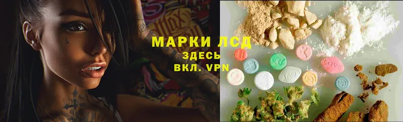 LSD-25 экстази ecstasy  где найти наркотики  Задонск 